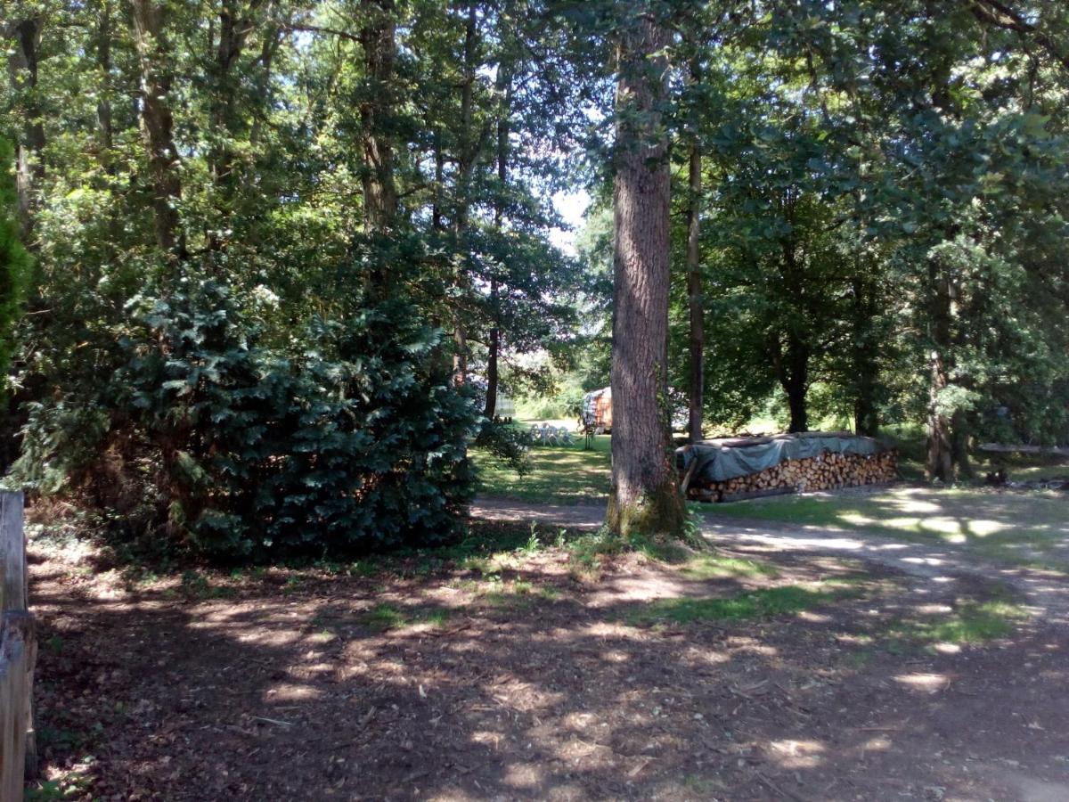 Le Pre Karvain Bed and Breakfast Couddes Exteriör bild